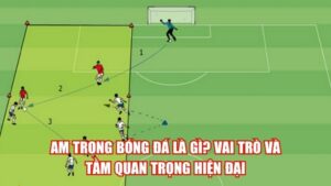 Trọng Tài Bẻ Còi Là Gì? Luật, Lý Do Và Tranh Cãi