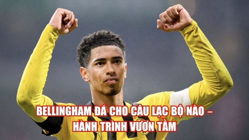 Bellingham Đá Cho Câu Lạc Bộ Nào – Hành Trình Vươn Tầm