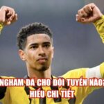 Bellingham Đá Cho Đội Tuyển Nào? Tìm Hiểu Chi Tiết