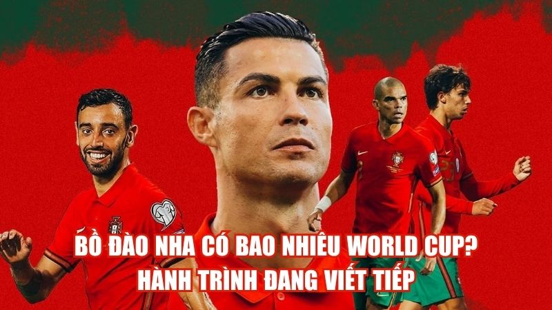 Bồ Đào Nha Có Bao Nhiêu World Cup? Hành Trình Đang Viết Tiếp