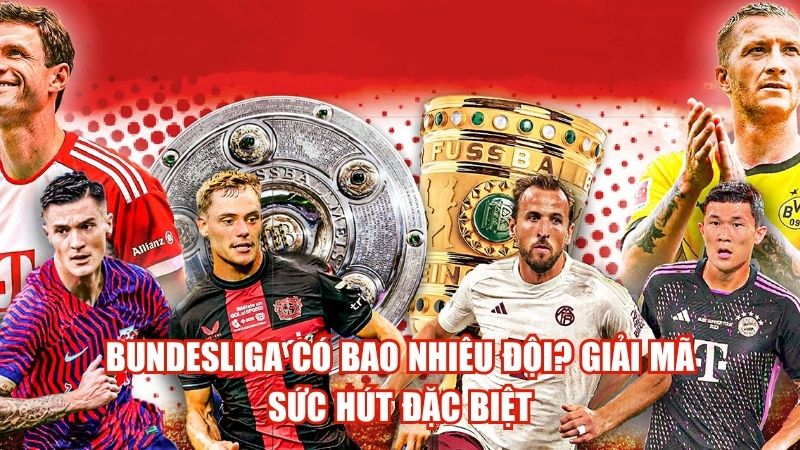 Bundesliga Có Bao Nhiêu Đội? Giải Mã Sức Hút Đặc Biệt