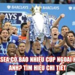 Chelsea Có Bao Nhiêu Cúp Ngoại Hạng Anh? Tìm Hiểu Chi Tiết