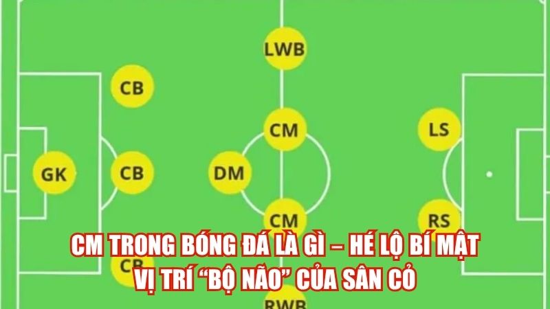CM Trong Bóng Đá Là Gì – Hé Lộ Bí Mật Vị Trí “Bộ Não” Của Sân Cỏ