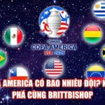 Copa America Có Bao Nhiêu Đội? Khám Phá Cùng Brittbishop