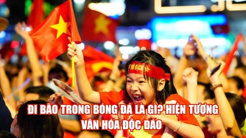 Đi Bão Trong Bóng Đá Là Gì? Hiện Tượng Văn Hóa Độc Đáo