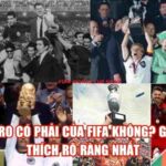 Euro Có Phải Của FIFA Không? Giải Thích Rõ Ràng Nhất