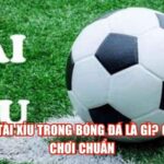 Kèo Tài Xỉu Trong Bóng Đá Là Gì? Cách Chơi Chuẩn