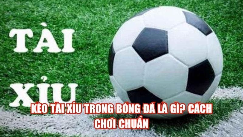 Kèo Tài Xỉu Trong Bóng Đá Là Gì? Cách Chơi Chuẩn