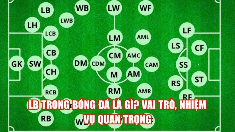 lb trong bong da la gi vai tro nhiem vu quan trong