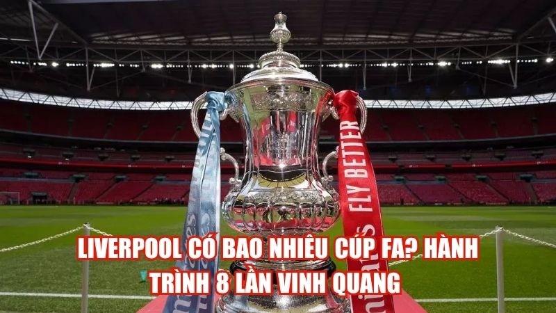 Liverpool Có Bao Nhiêu Cúp FA? Hành Trình 8 Lần Vinh Quang