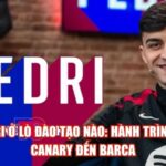 Pedri Ở Lò Đào Tạo Nào: Hành Trình Từ Canary Đến Barca