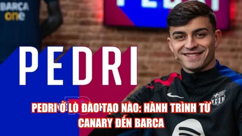 Pedri Ở Lò Đào Tạo Nào: Hành Trình Từ Canary Đến Barca