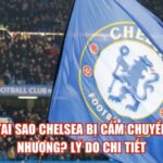 Tại Sao Chelsea Bị Cấm Chuyển Nhượng? Lý Do Chi Tiết
