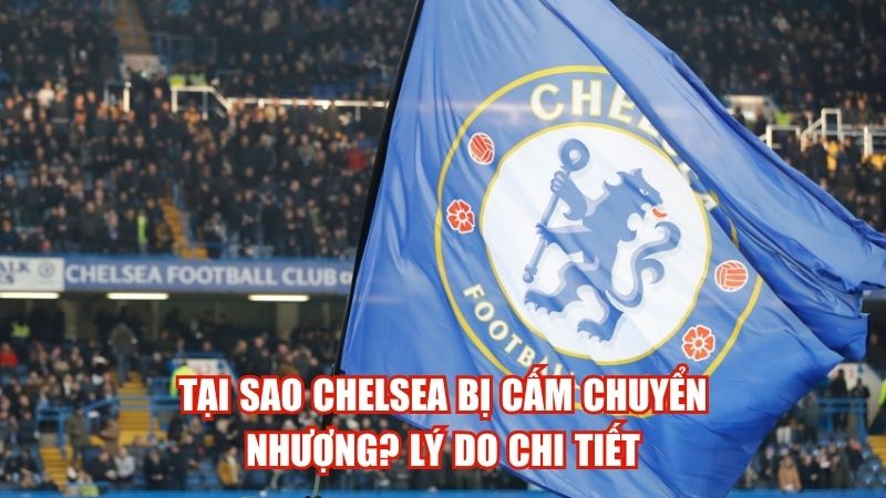 Tại Sao Chelsea Bị Cấm Chuyển Nhượng? Lý Do Chi Tiết