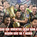 Tại Sao Gọi Juventus Là Bà Đầm Già? Nguồn Gốc Và Ý Nghĩa