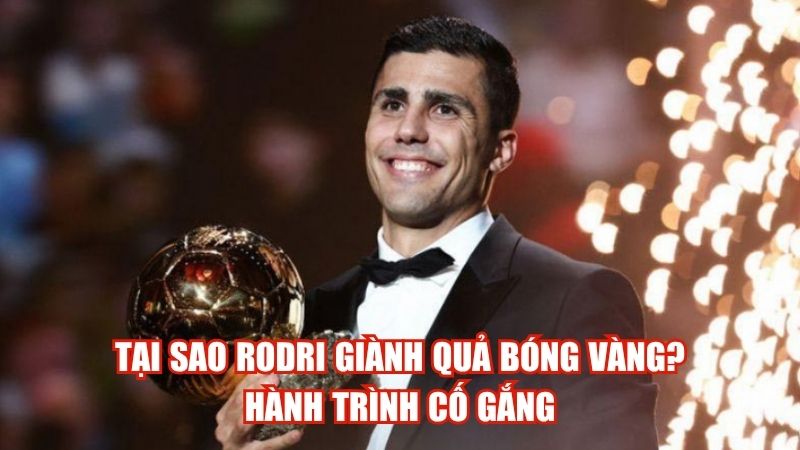 Tại Sao Rodri Giành Quả Bóng Vàng? Hành Trình Cố Gắng