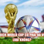 Vô Địch World Cup Có Phải Đá Vòng Loại Không?