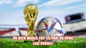 Vô Địch World Cup Có Phải Đá Vòng Loại Không?