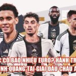 Đức Có Bao Nhiêu Euro? Hành Trình Vinh Quang Tại Giải Đấu Châu Âu